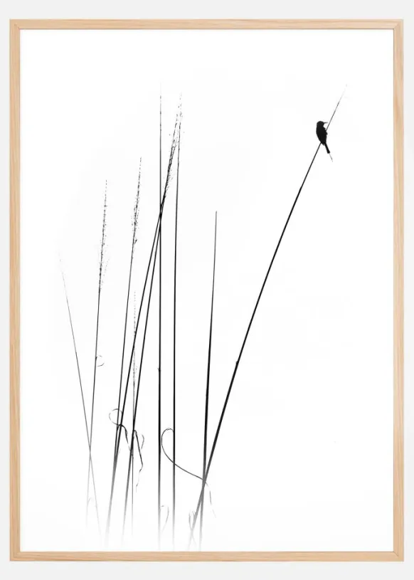A sabbatical Poster (21x29.7 cm (A4))