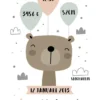 Baby bear (21x29,7 cm (A4))