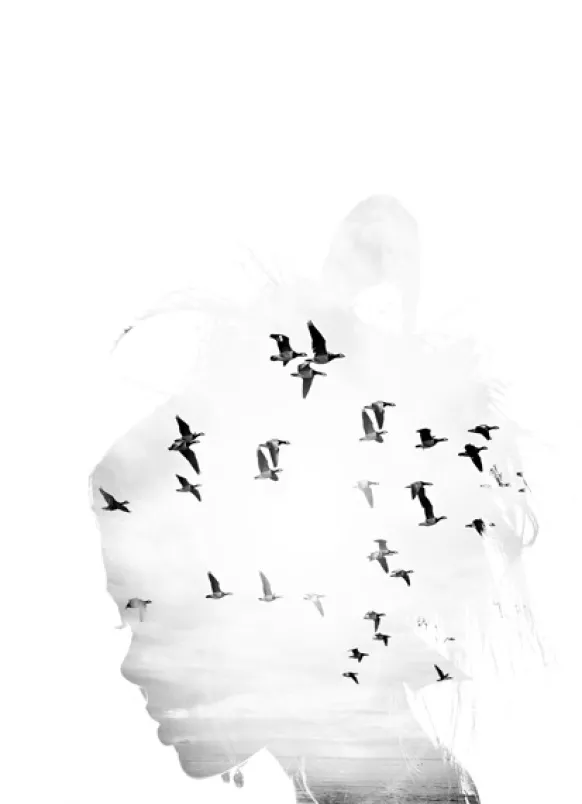 Bird Head B&W Poster (50x70 cm)