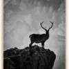 Black and White Deer Poster (21x29.7 cm (A4))