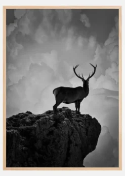 Black and White Deer Poster (21x29.7 cm (A4))