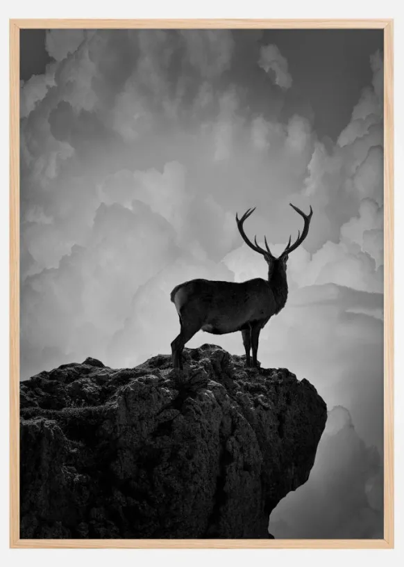 Black and White Deer Poster (21x29.7 cm (A4))