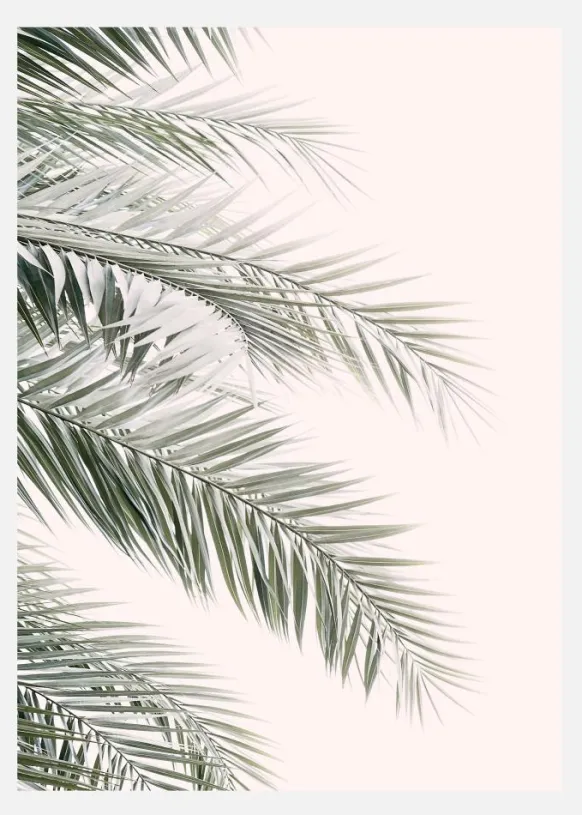 Blush Palm Leaves Canvastavla (30x40 cm)
