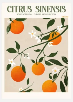 Boho Citrus Sinensis Canvastavla (30x40 cm)