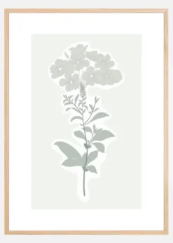 BOTANIC Poster (21x29.7 cm (A4))