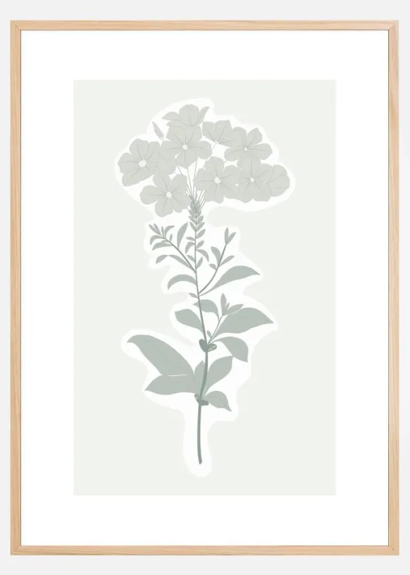 BOTANIC Poster (21x29.7 cm (A4))
