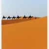 Caravan Canvastavla (30x40 cm)