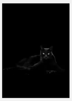 Cat Canvastavla (30x40 cm)