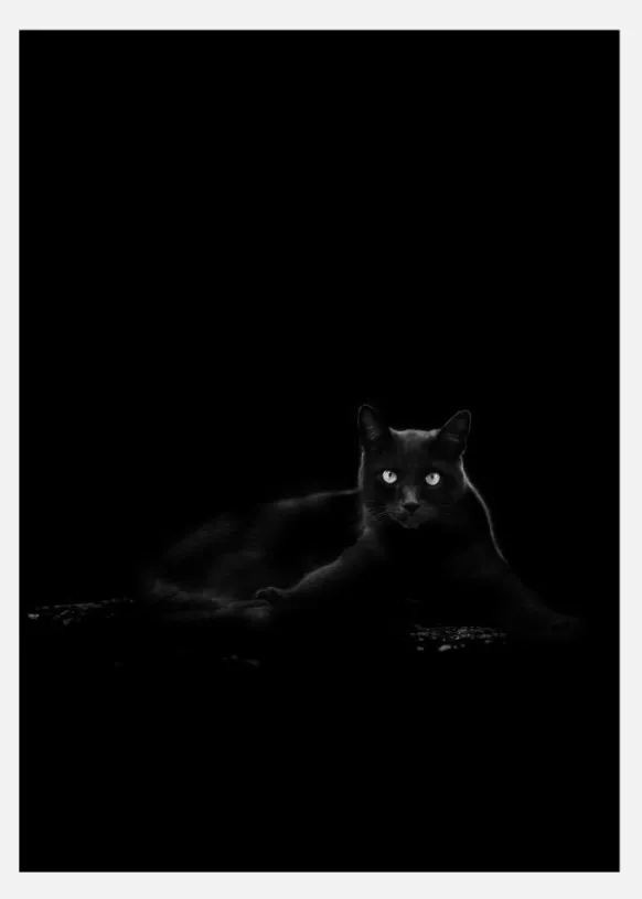 Cat Canvastavla (30x40 cm)
