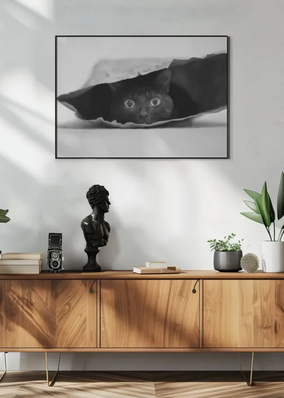 Cat in a bag Poster (21x29.7 cm (A4))