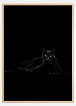Cat Poster (21x29.7 cm (A4))