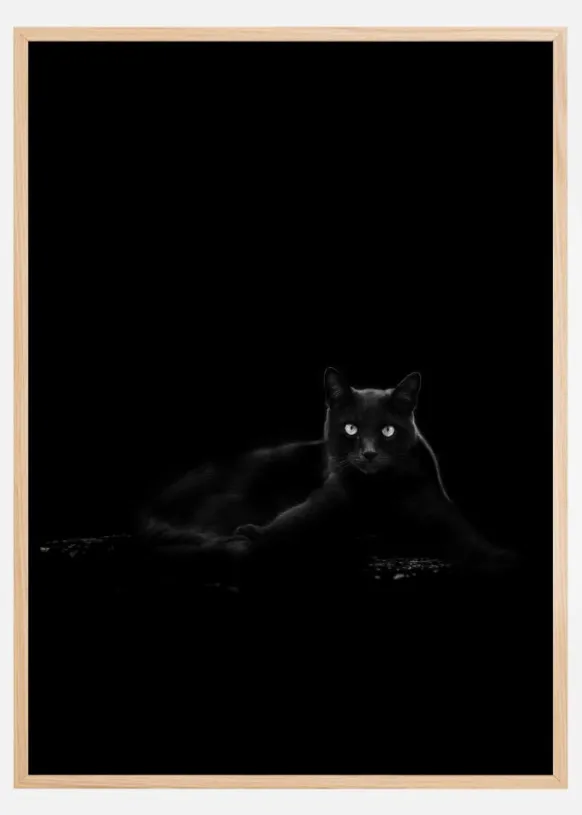Cat Poster (21x29.7 cm (A4))