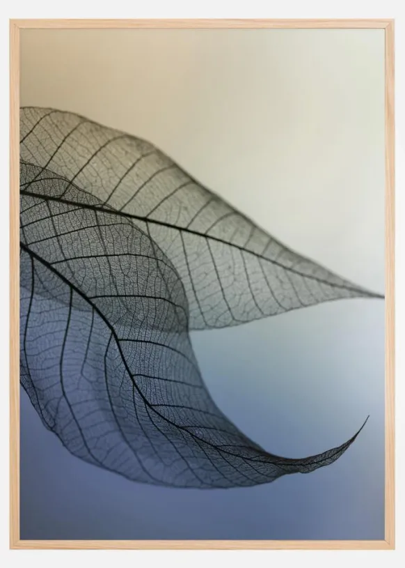 Cavatina Poster (21x29.7 cm (A4))