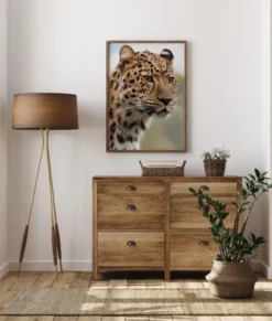 Chetah Poster (21x29.7 cm (A4))