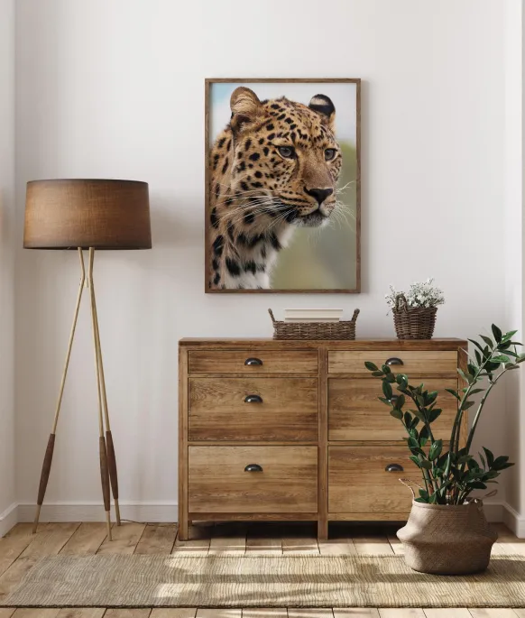 Chetah Poster (21x29.7 cm (A4))