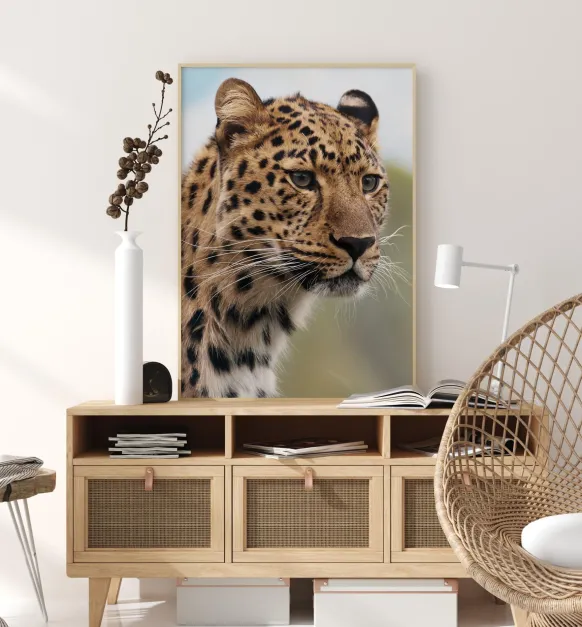 Chetah Poster (21x29.7 cm (A4))