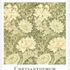 Chrysanthemum Canvastavla (30x40 cm)
