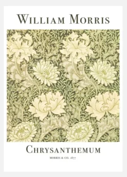 Chrysanthemum Canvastavla (30x40 cm)