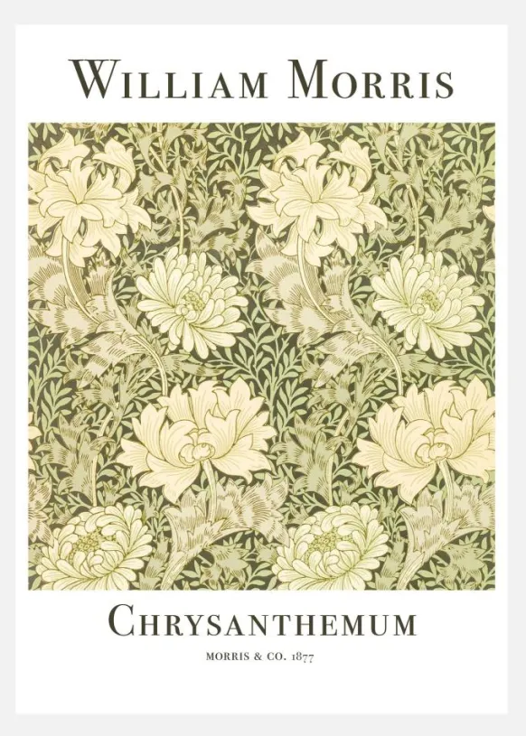 Chrysanthemum Canvastavla (30x40 cm)