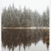 Cold Day By The Lake Canvastavla (30x40 cm)