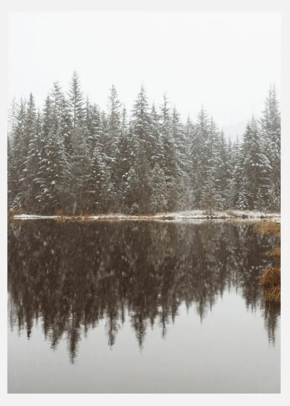 Cold Day By The Lake Canvastavla (30x40 cm)