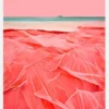 Coral Beach Canvastavla (30x40 cm)