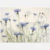 Cornflowers Canvastavla (30x40 cm)