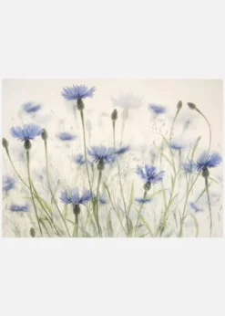 Cornflowers Canvastavla (30x40 cm)
