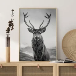 Curious Deer Poster (21x29.7 cm (A4))