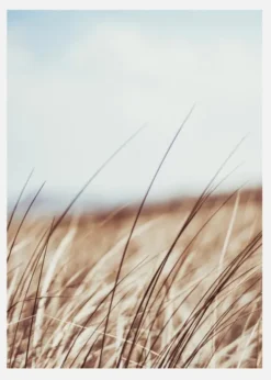 Dreamy Grass Canvastavla (30x40 cm)