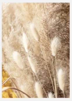 Dried Bouquet Canvastavla (30x40 cm)