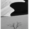 Dune Curves Canvastavla (30x40 cm)