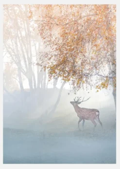 Elk Lost In Mist Canvastavla (30x40 cm)