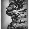 Essence Of Life Canvastavla (30x40 cm)