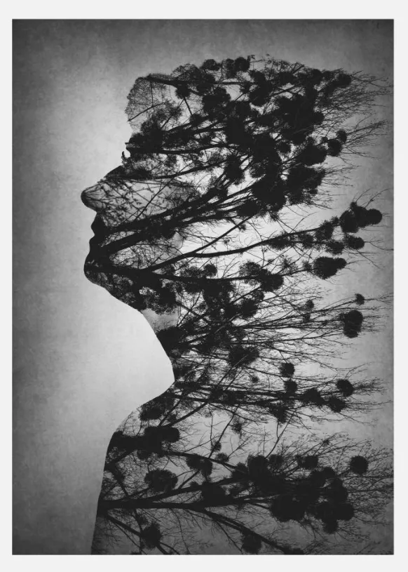 Essence Of Life Canvastavla (30x40 cm)