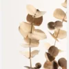 Eucalyptus Gold I Canvastavla (30x40 cm)