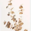 Eucalyptus Gold II Canvastavla (30x40 cm)