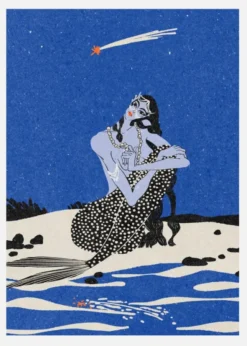 Falling Star Canvastavla (30x40 cm)