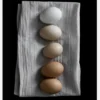 Farm Eggs Canvastavla (30x40 cm)