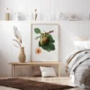 Figs Poster (21x29.7 cm (A4))