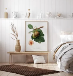 Figs Poster (21x29.7 cm (A4))