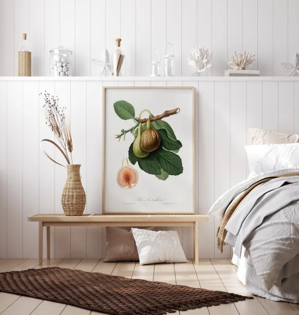 Figs Poster (21x29.7 cm (A4))