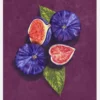 Figs Stil Life Canvastavla (30x40 cm)