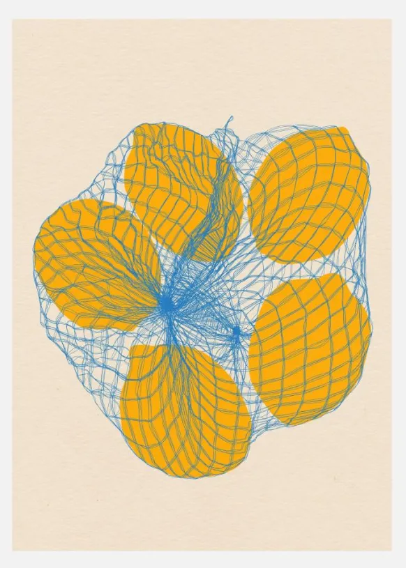 Five Lemons In A Net Bag Canvastavla (30x40 cm)