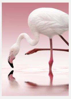 Flamingo Canvastavla (30x40 cm)