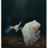 Floating In A Dream Canvastavla (30x40 cm)