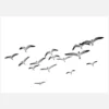 Flying Birds Canvastavla (30x40 cm)