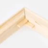 Focus Kilramar 2-pack - 50 cm