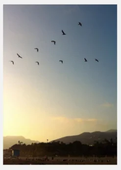 Goodbye Birds Canvastavla (30x40 cm)