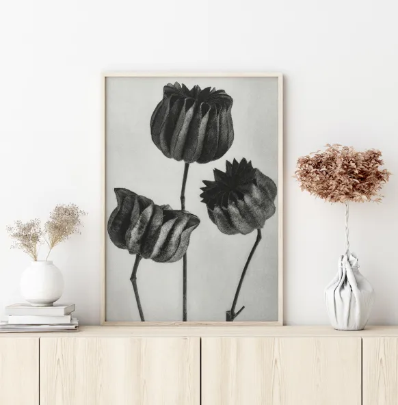 Grey Flower V Poster (21x29.7 cm (A4))